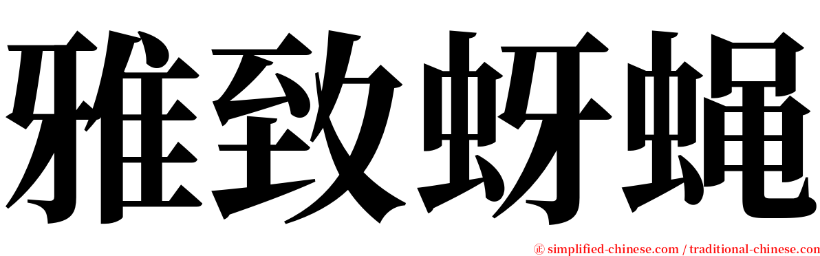 雅致蚜蝇 serif font