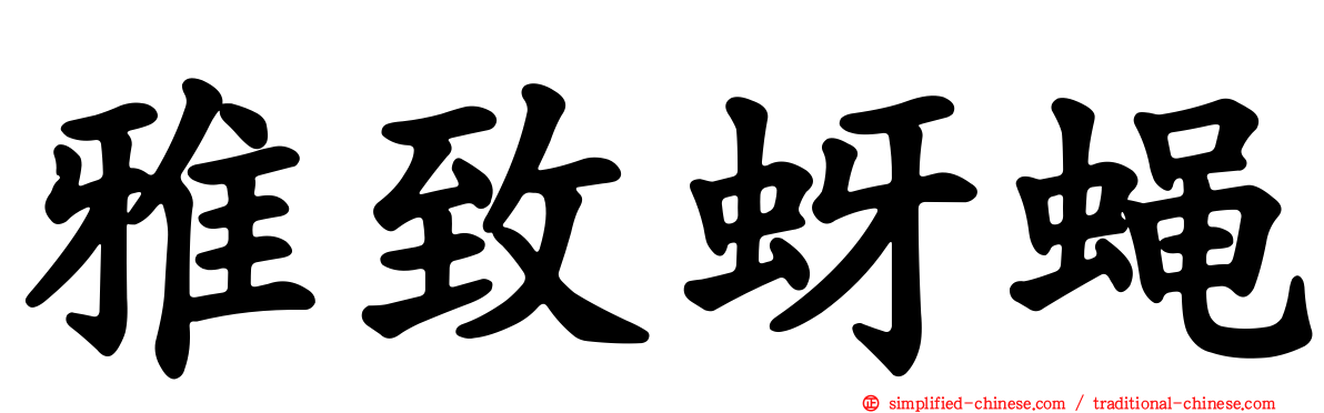 雅致蚜蝇