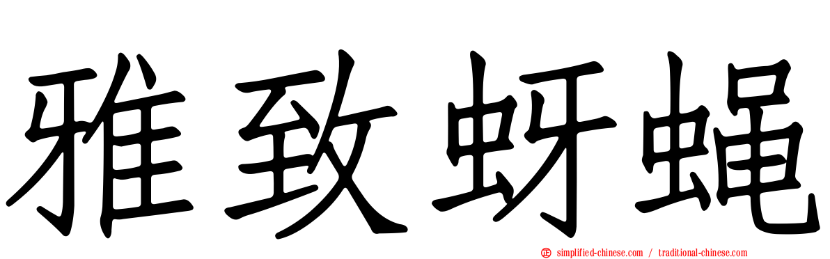 雅致蚜蝇