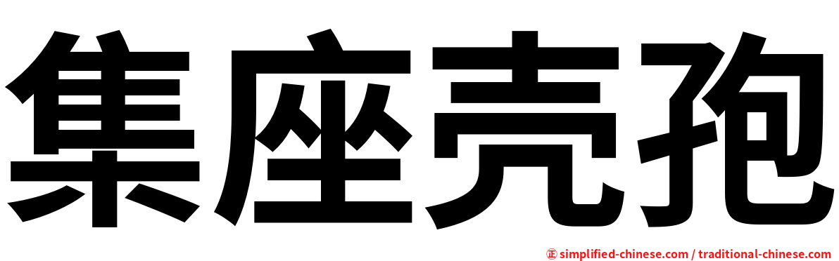 集座壳孢