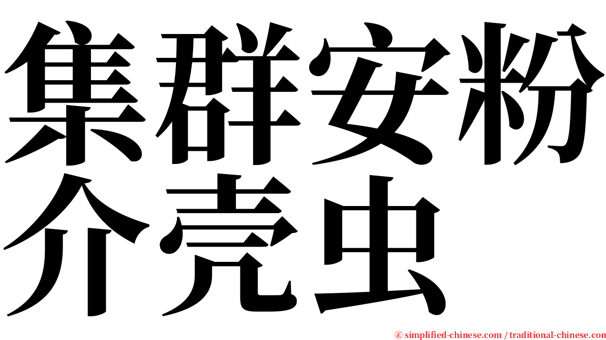 集群安粉介壳虫 serif font