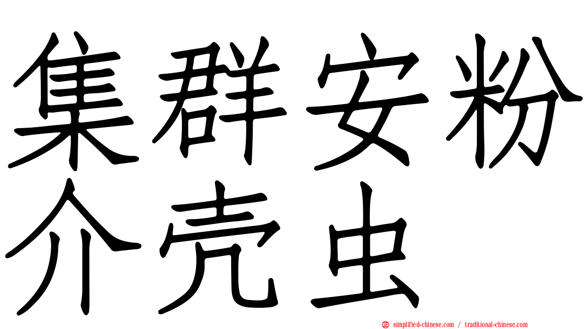 集群安粉介壳虫