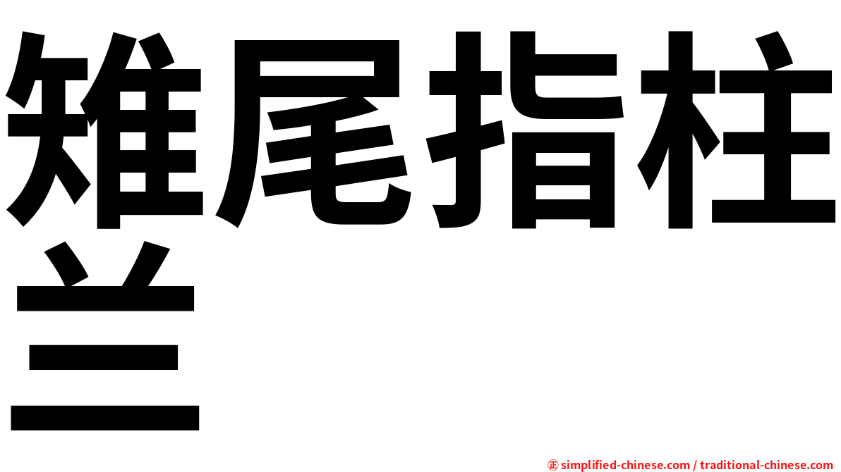 雉尾指柱兰