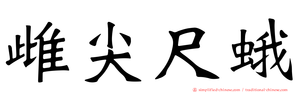 雌尖尺蛾