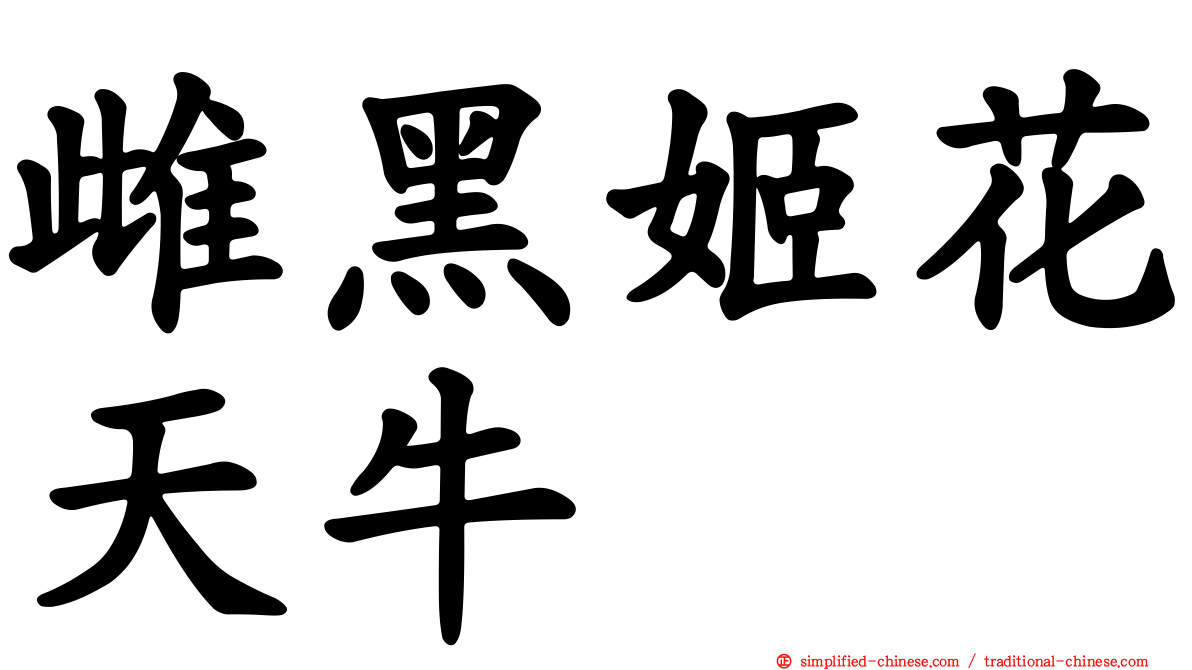 雌黑姬花天牛