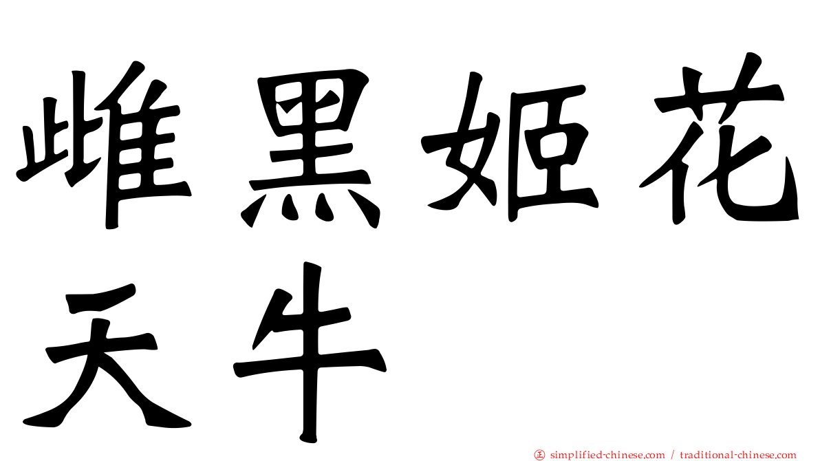 雌黑姬花天牛