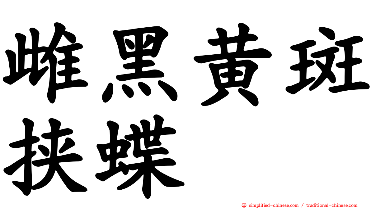 雌黑黄斑挟蝶