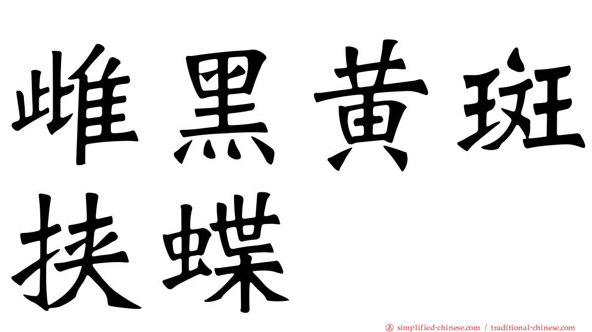 雌黑黄斑挟蝶