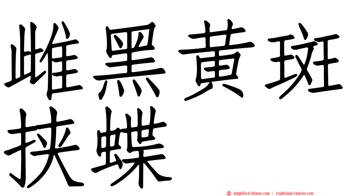 雌黑黄斑挟蝶