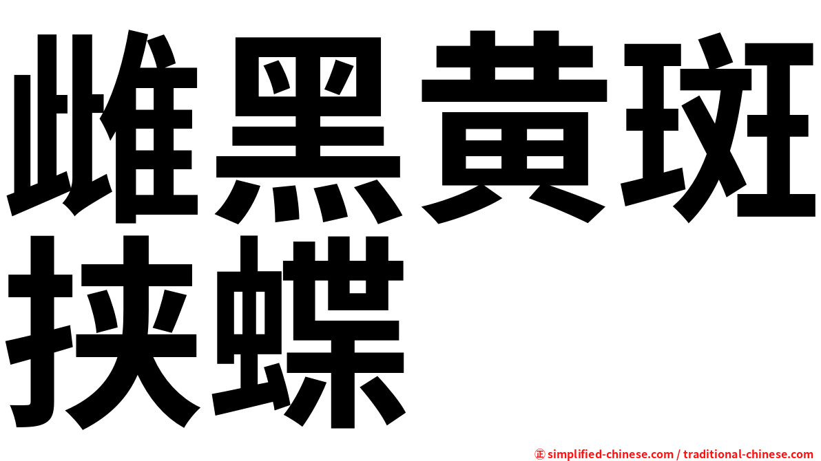 雌黑黄斑挟蝶