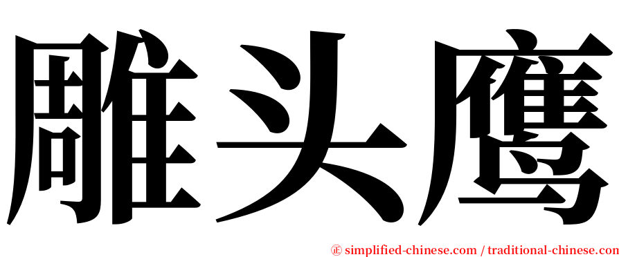 雕头鹰 serif font