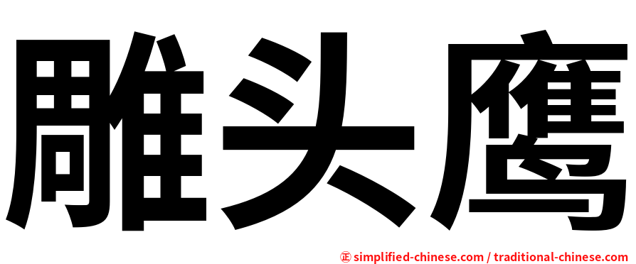 雕头鹰