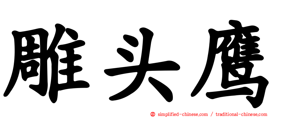 雕头鹰