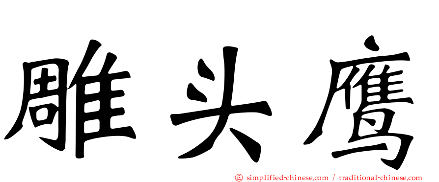 雕头鹰