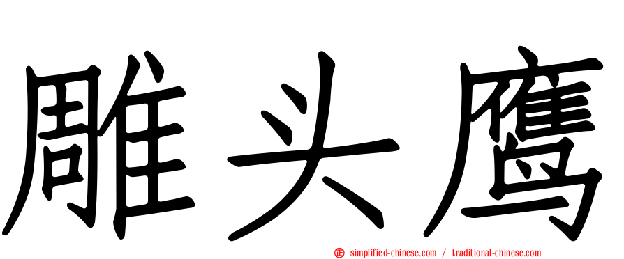 雕头鹰