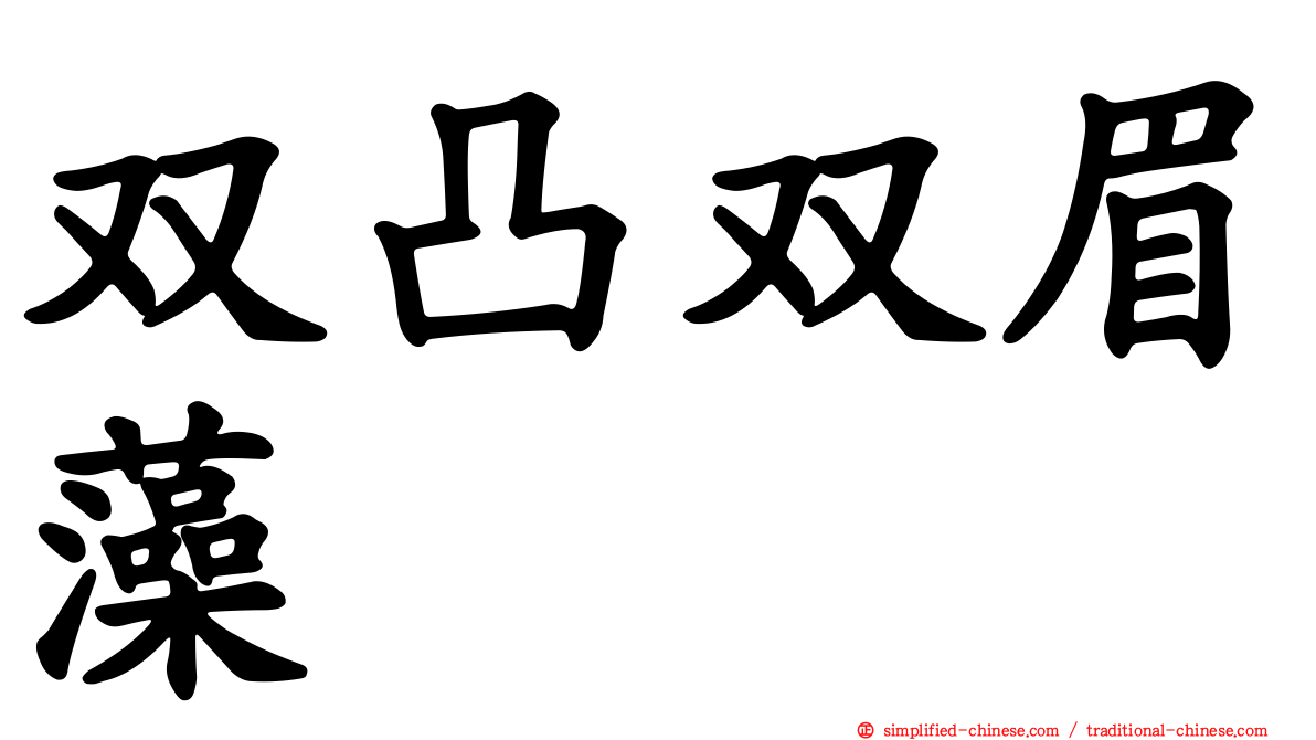 双凸双眉藻