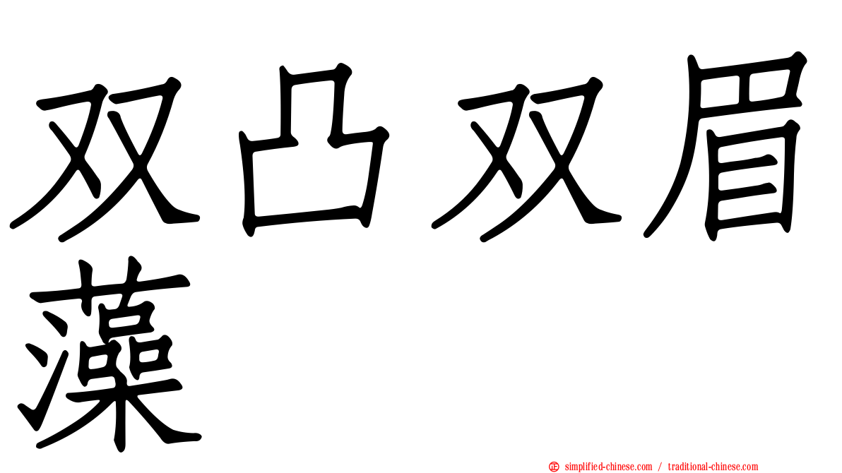 双凸双眉藻
