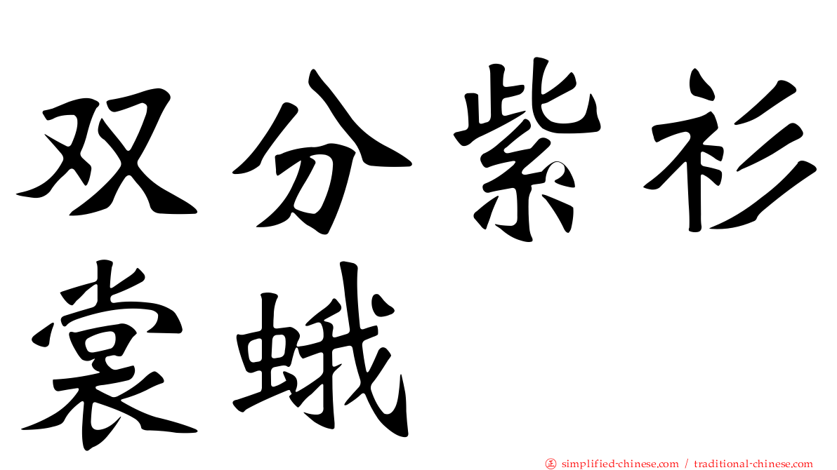 双分紫衫裳蛾