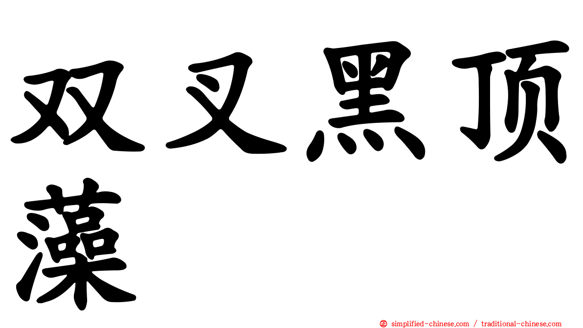 双叉黑顶藻