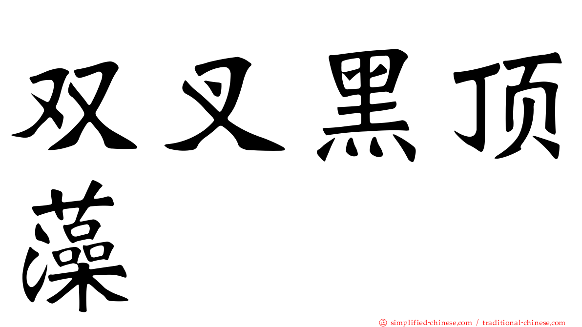 双叉黑顶藻