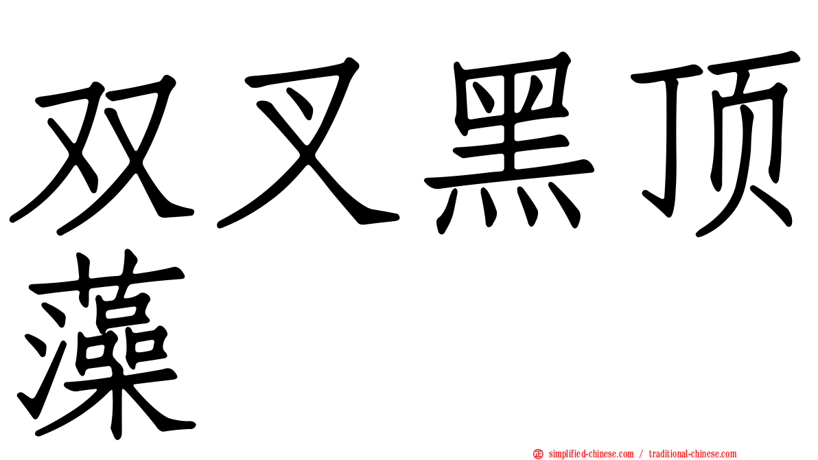 双叉黑顶藻