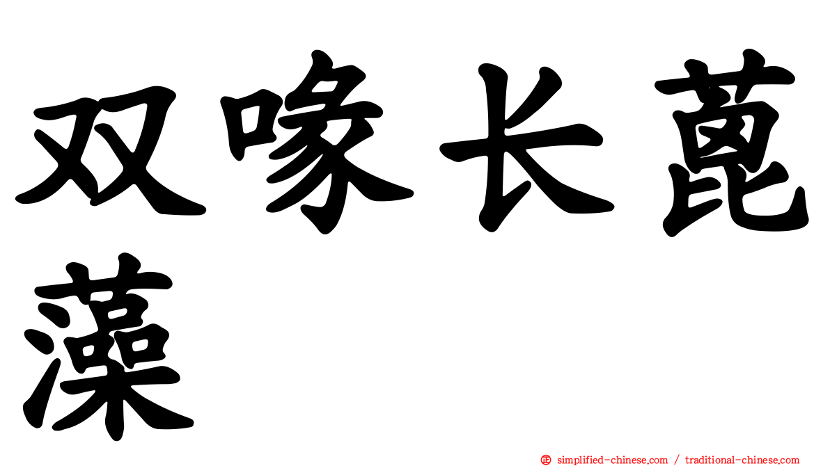 双喙长蓖藻