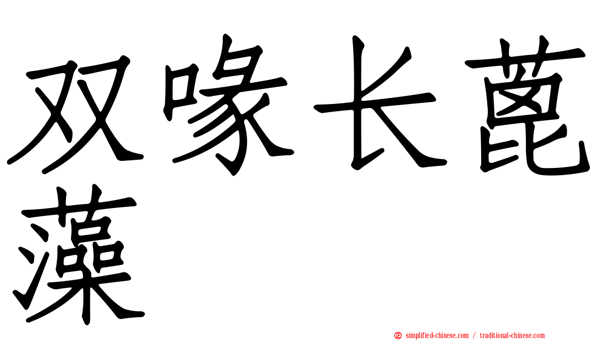 双喙长蓖藻