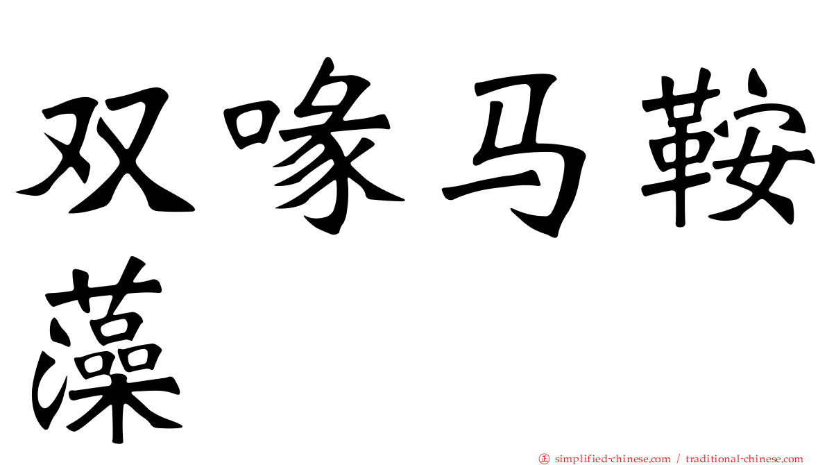 双喙马鞍藻