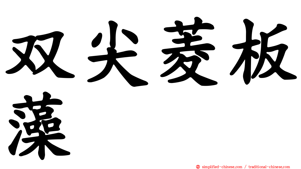 双尖菱板藻