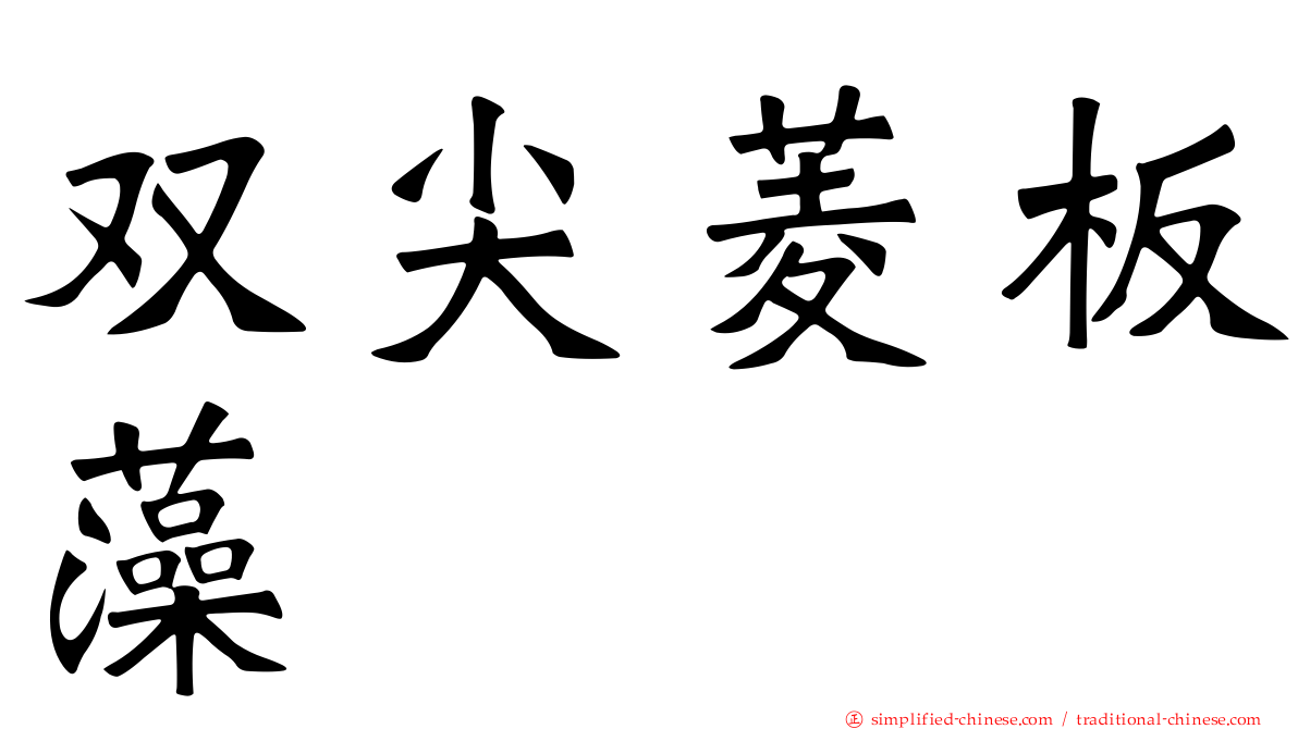 双尖菱板藻