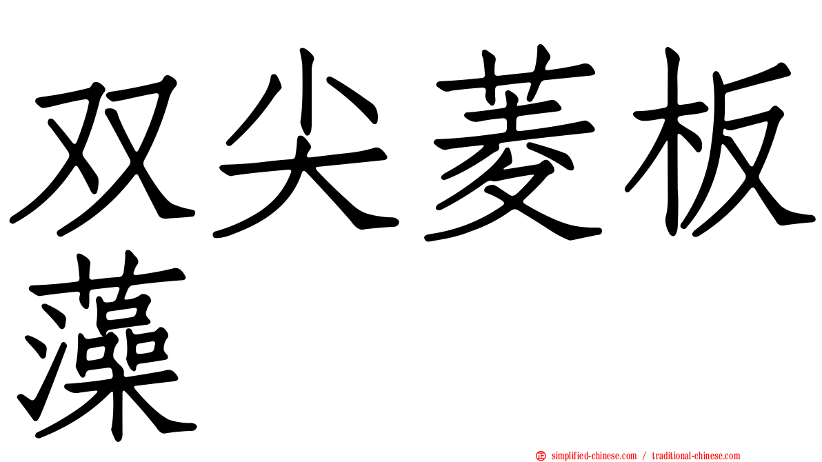 双尖菱板藻
