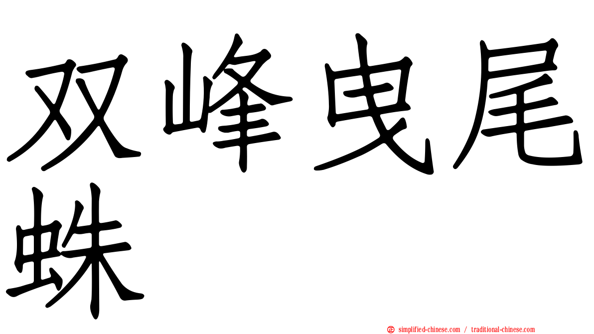 双峰曳尾蛛