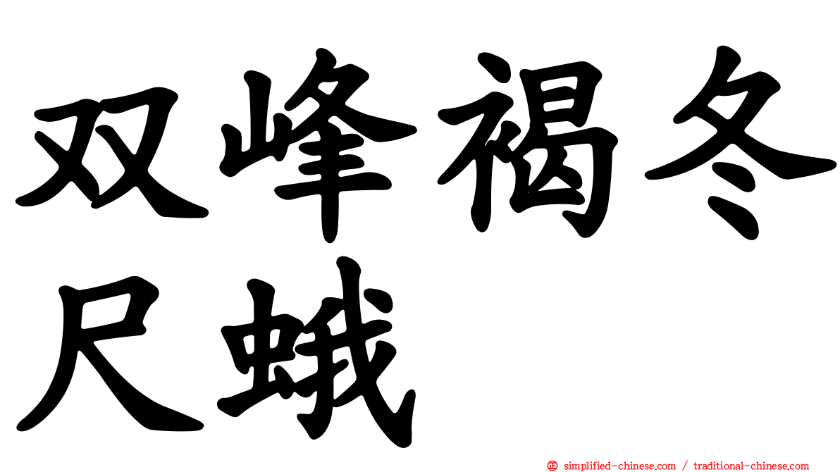 双峰褐冬尺蛾