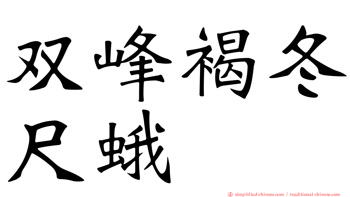 双峰褐冬尺蛾