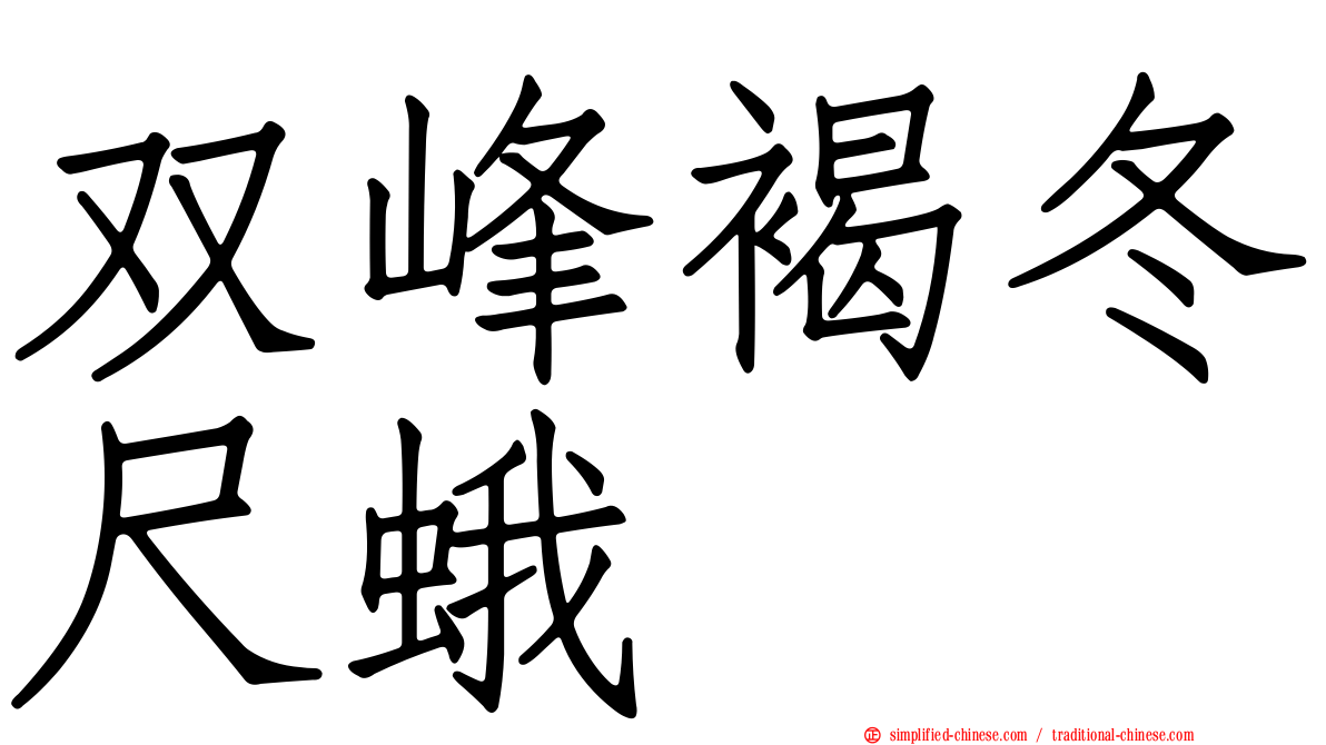 双峰褐冬尺蛾