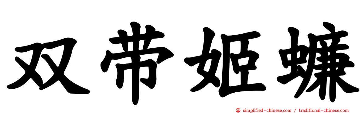 双带姬蠊