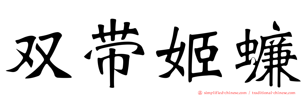 双带姬蠊