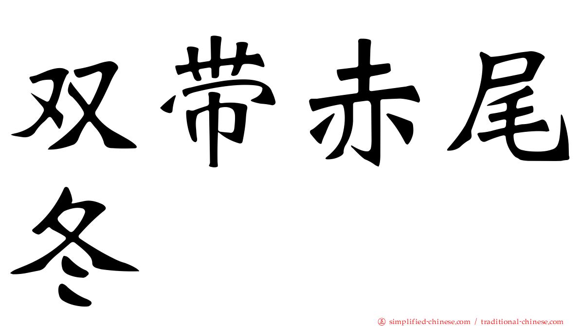 双带赤尾冬