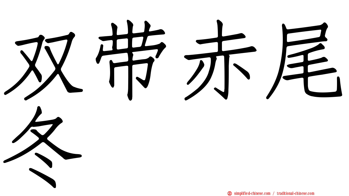 双带赤尾冬