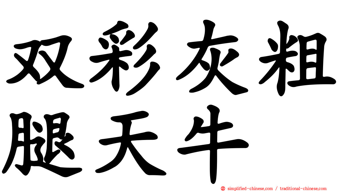 双彩灰粗腿天牛