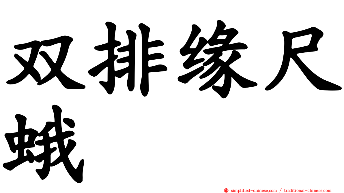双排缘尺蛾