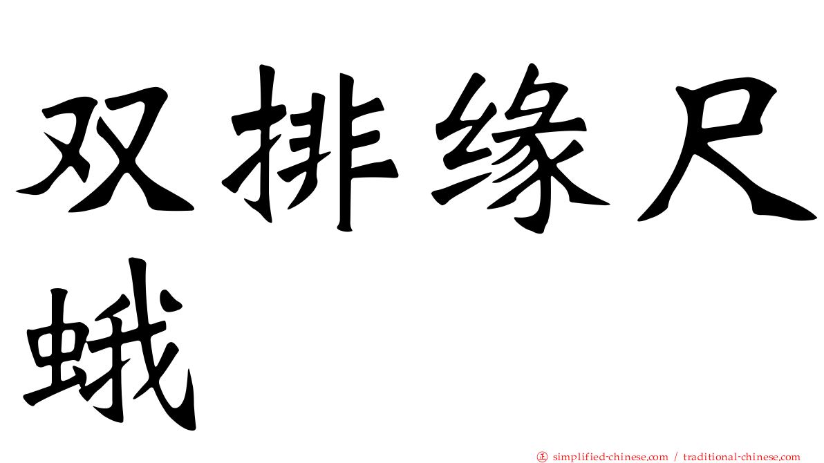 双排缘尺蛾