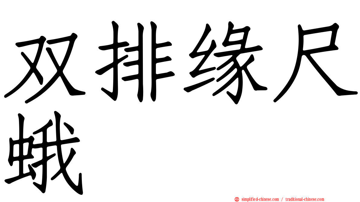 双排缘尺蛾