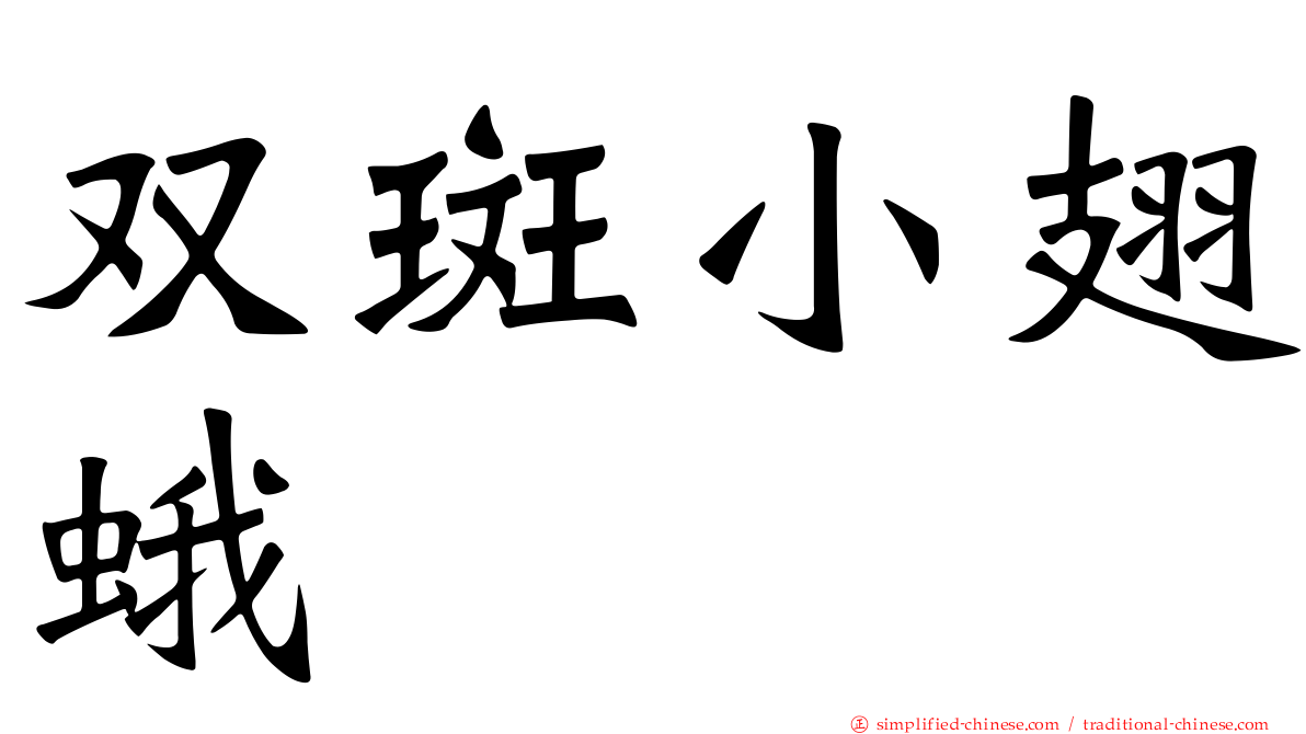 双斑小翅蛾