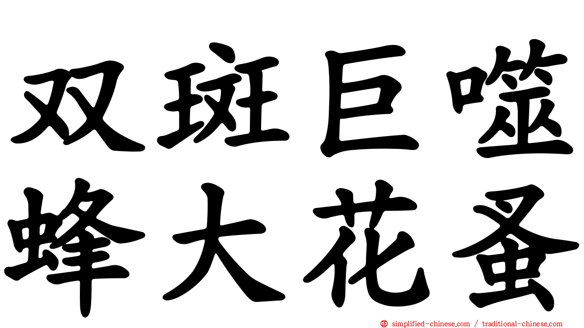 双斑巨噬蜂大花蚤
