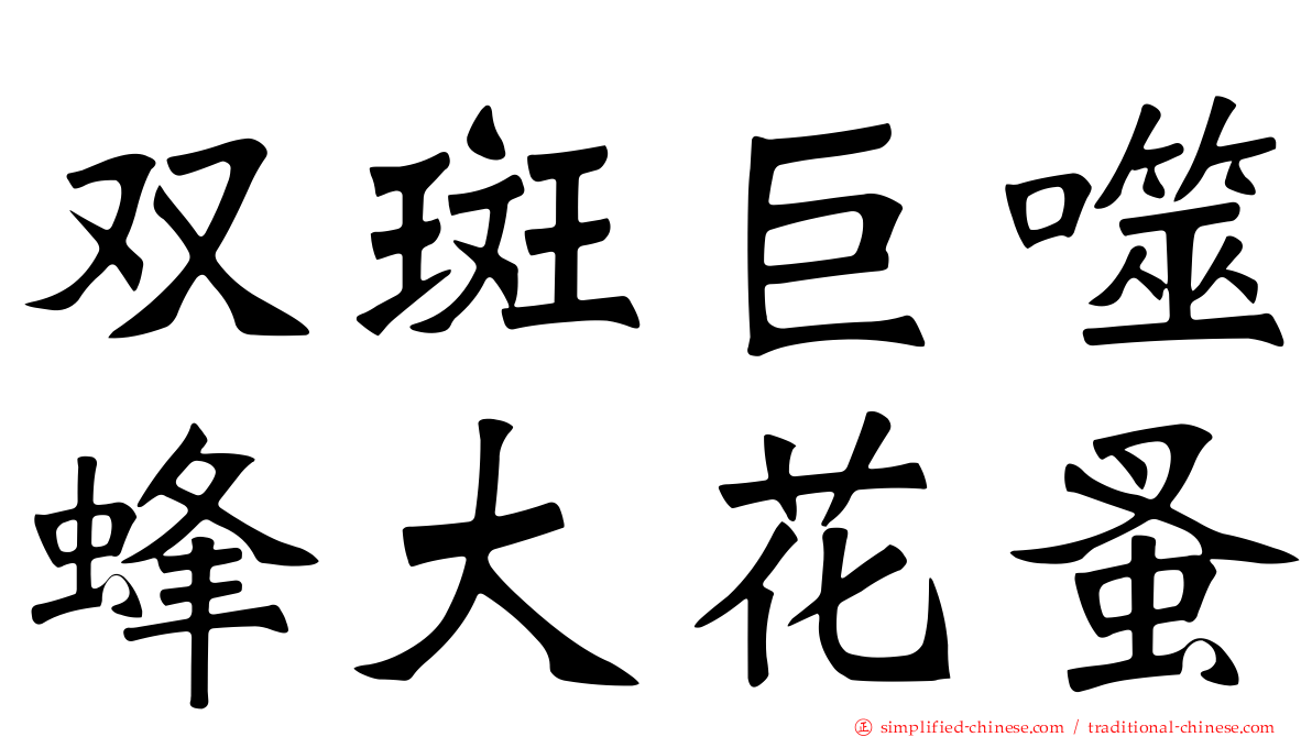 双斑巨噬蜂大花蚤