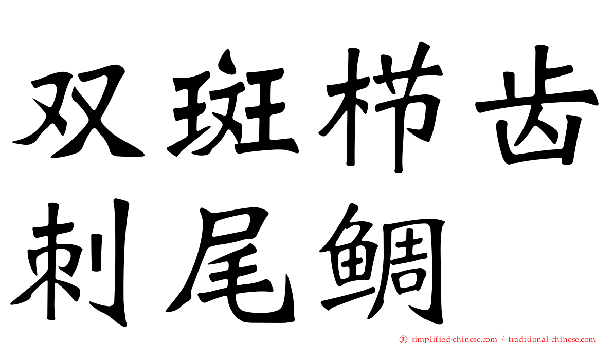 双斑栉齿刺尾鲷
