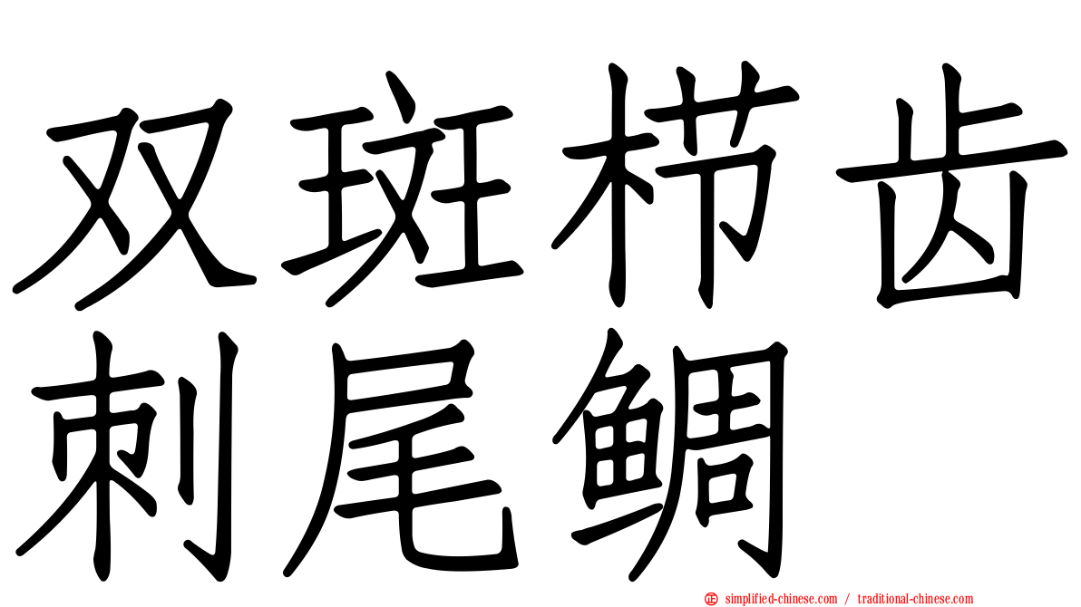 双斑栉齿刺尾鲷
