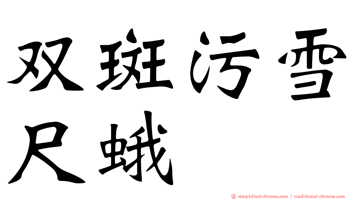 双斑污雪尺蛾