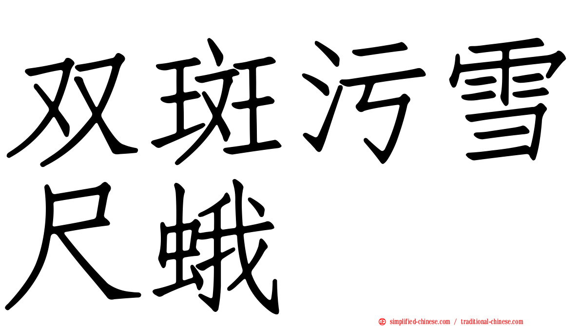 双斑污雪尺蛾